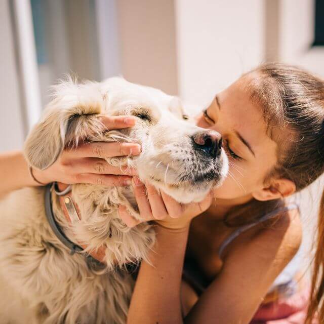 Pet Microchipping at Central Boulevard