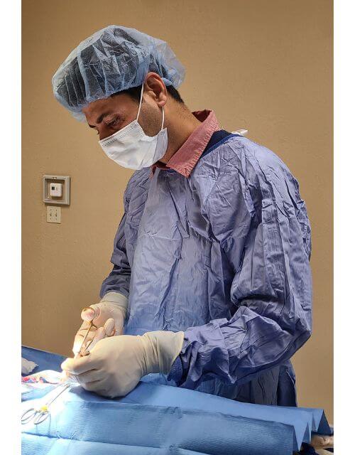 Spay and Neuter at Central Boulevard